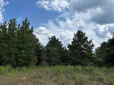 000 County Road 1902, Jacksonville, TX 75766 - photo 5