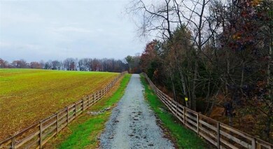 Fenced lined driveway