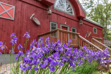 2 Spruce High Rd, Winhall, VT 05340 - photo 2