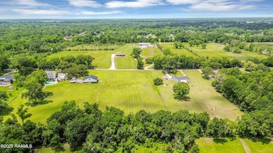 dji_fly_20250516_131322_188_174741925048