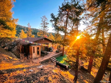 31327 Kings Valley W, Conifer, CO 80433 - photo 6