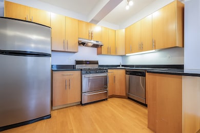 The Point unit 6K, Brooklyn, NY 11211 - photo 3