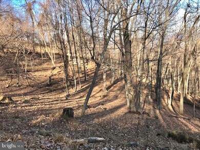 0 Roy Hyre Hollow Rd unit WVGT2000174, Petersburg, WV 26847 - photo 6