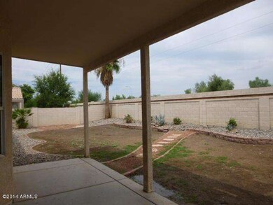 BACKYARD (2)