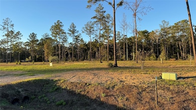 20039 Kincaid Dr, Conroe, TX 77306 - photo 6