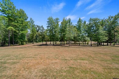 10636 County Road 214, Tyler, TX 75707 - photo 4