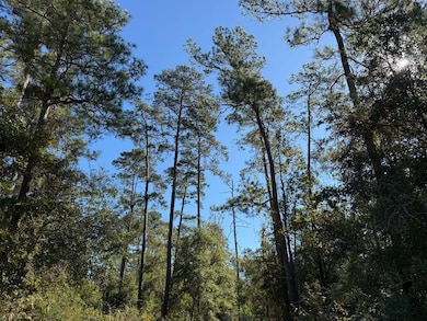 Eldridge Rd, Cleveland, TX 77328 - photo 7