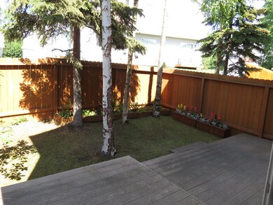 Backyard & deck
