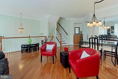 6230 Shackelford Terrace, Alexandria, VA 22312 - photo 6