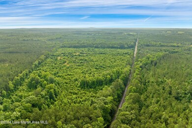 2-web-or-mls-Plot Jacksons Gap-2