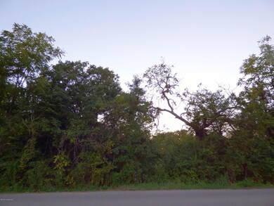 0 Bethel Church Rd, Mount Washington, KY 40047 - photo 6