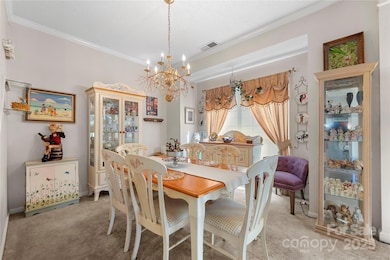 13233 Lampmeade Ln, Charlotte, NC 28273 - photo 6