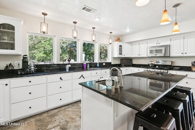 203 John Henry Lake Rd, Poplarville, MS 39470 - photo 7