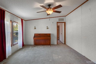 1068 E Murta St, Marquand, MO 63655 - photo 4