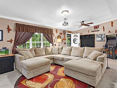 333 Carolina Pines Ct, Leicester, NC 28748 - photo 5