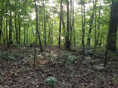 20180604_195449_resized
