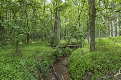 2624 Old Graham Rd, Pittsboro, NC 27312 - photo 3