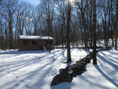 0 Ivy Trail, Delaware Township, PA 18328 - photo 6