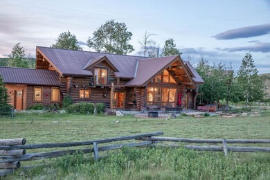 706 Hayden View Trail, Placerville, CO 81320 - photo 2