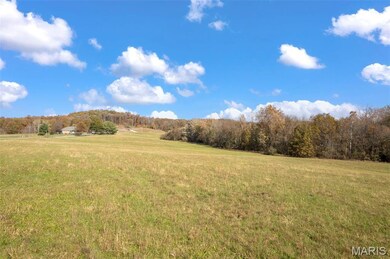 3065 County Road 638 Tract 3, Cape Girardeau, MO 63701 - photo 5