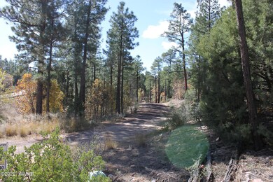 1970 S Pleasant View Dr, Show Low, AZ 85901 - photo 2