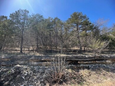 194 Table Rock Dr, Holiday Island, AR 72631 - photo 4