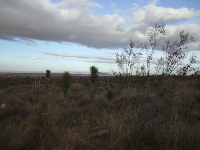 00 SE Bob Gap Rd, Llano, CA 93544 - photo 7