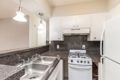 425 Emerson St unit 7, Houston, TX 77006 - photo 7