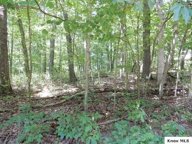 Lot 374 Highland Hills Subdivision, Howard, OH 43028 - photo 3