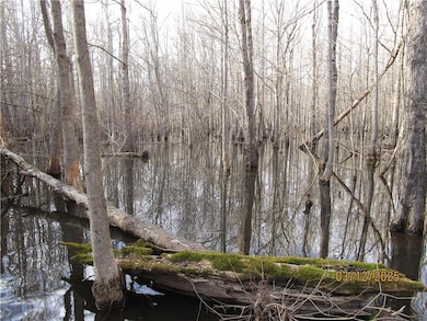 0 Obie Smith Rd unit 2491301, Atlanta, LA 71404 - photo 3