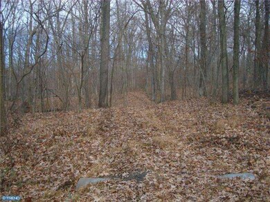 Lot 18 Stover Mill Rd, Perkasie, PA 18944 - photo 7