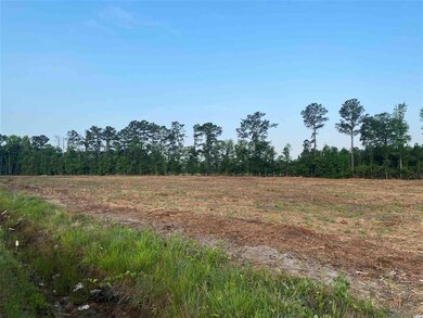 Lot 8 U S 701 Hwy unit 6190 Highway 701 S, Conway, SC 29526 - photo 4