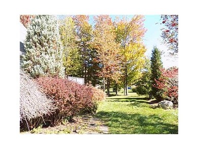 Yard/Garden.