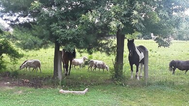 2204 Coldharbor Ct, Lewis Center, OH 43035 - photo 4