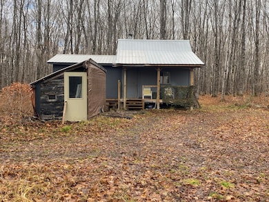 17385 Co Rd 414, Newberry, MI 49868 - photo 3