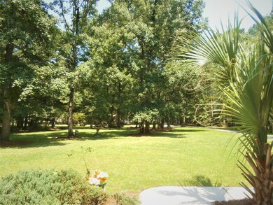 569 Woodspring Rd, Mount Pleasant, SC 29466 - photo 3