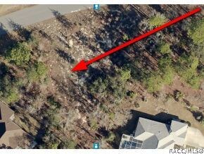 6 Primula Ct W, Homosassa, FL 34446 - photo 3