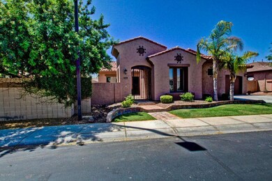 Mesquite Grove  (3)
