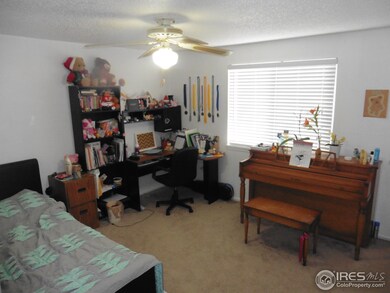 11786 Albion St, Thornton, CO 80233 - photo 4