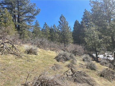 0 Matterhorn Dr unit SR23065161, Tehachapi, CA 93561 - photo 6