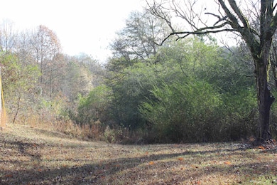 1628 Childhaven Rd NE, Cullman, AL 35055 - photo 3