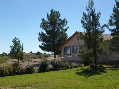 P1010649