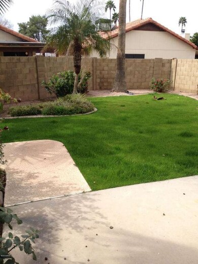 lovely  back yard