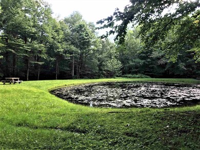 46 Quail Ct unit CHM046.000 & CHM04, Wilmington, VT 05363 - photo 7