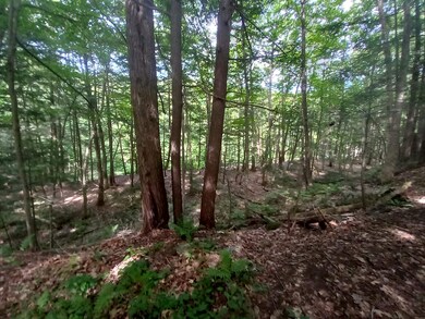 000 Wheeler Rand Rd, Charlestown, NH 03603 - photo 3