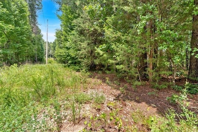 View of woods