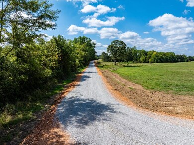Off Hwy 230, Cave City, AR 72521 - photo 4