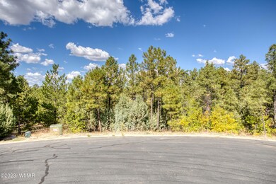 paxmanphotography-5063