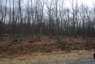 117 Blue Heron Way, Hawley, PA 18428 - photo 4