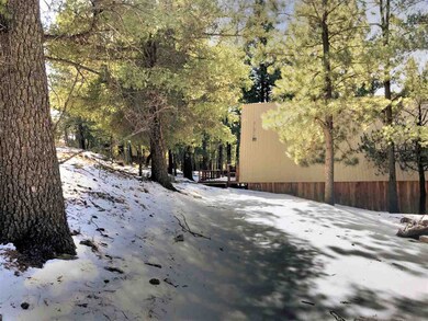 8 Big Bend Cut Off unit 6, Cloudcroft, NM 88317 - photo 3